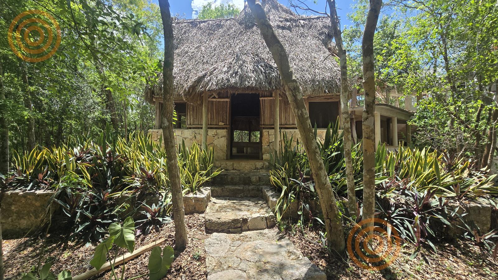 bre-rv-tixcalcupul-380-17 Palapa con techo de huano entre plantas del jardín