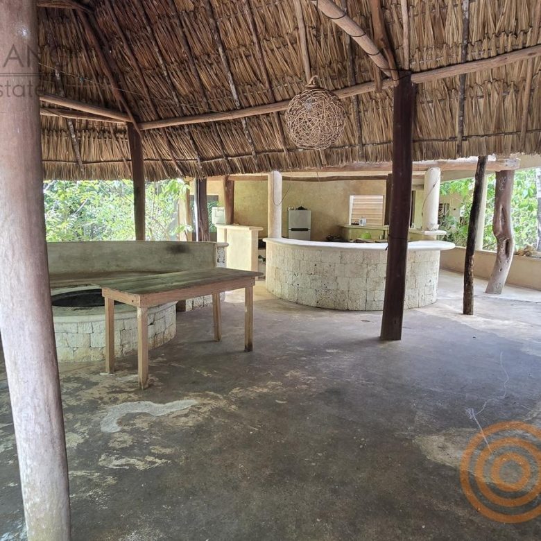 Palapa con barra de convivencia y mesa de trabajo