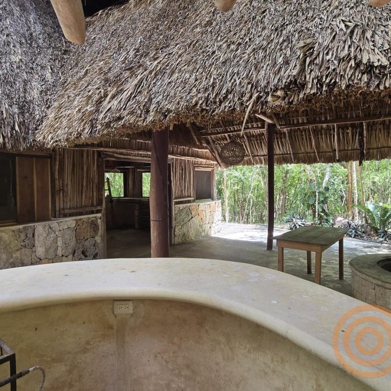 Barra de la palapa vista desde el interior bajo el techo de huano