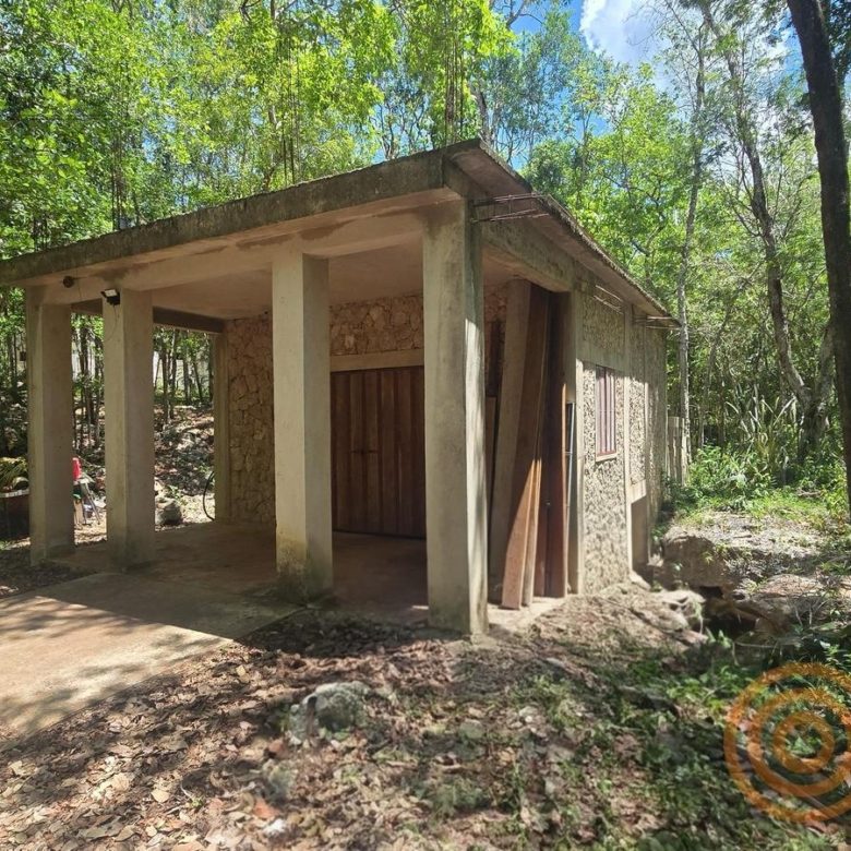 Bodega techada de concreto entre la selva