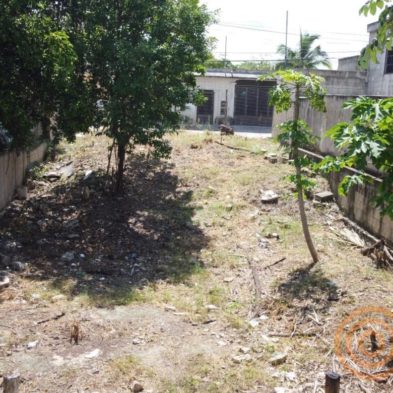 Interior del terreno despejado, con árboles y barda