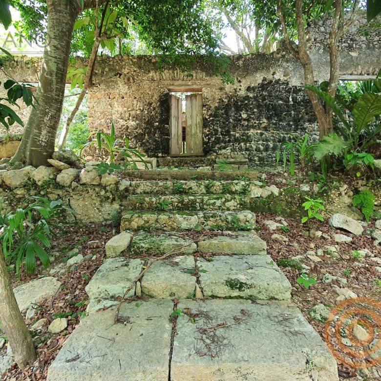 Escalinata de piedra entre árboles hacia la hacienda