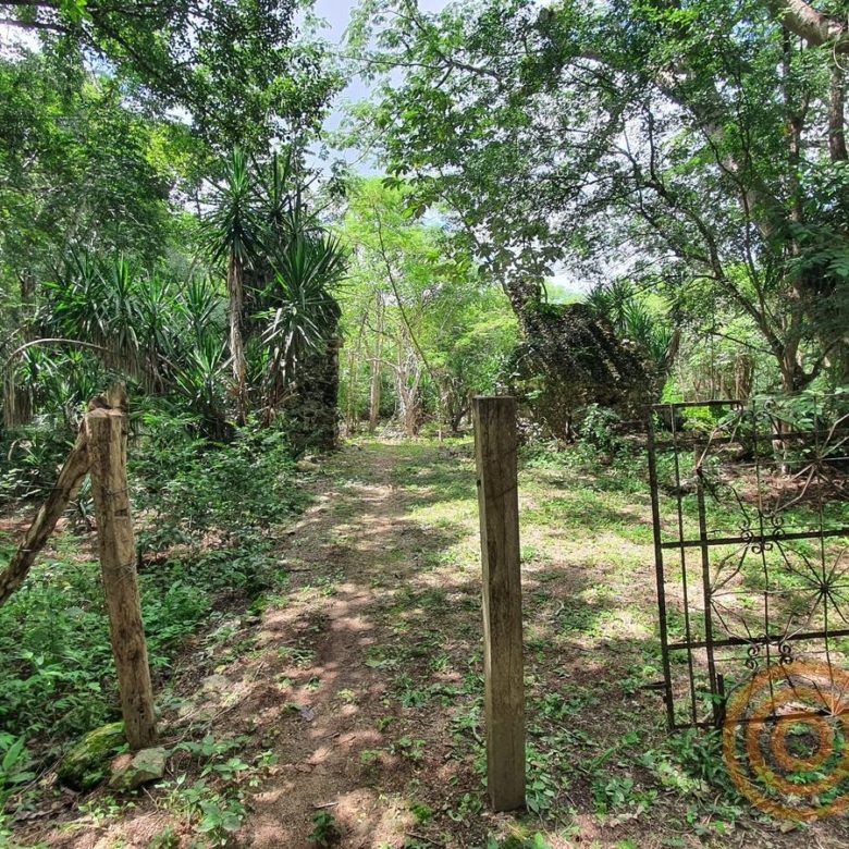 Portón de reja y camino entre el arbolado del rancho