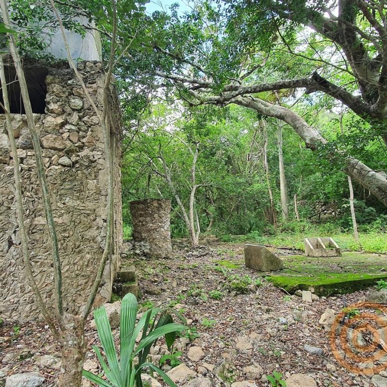Construcción de piedra de la hacienda entre la vegetación