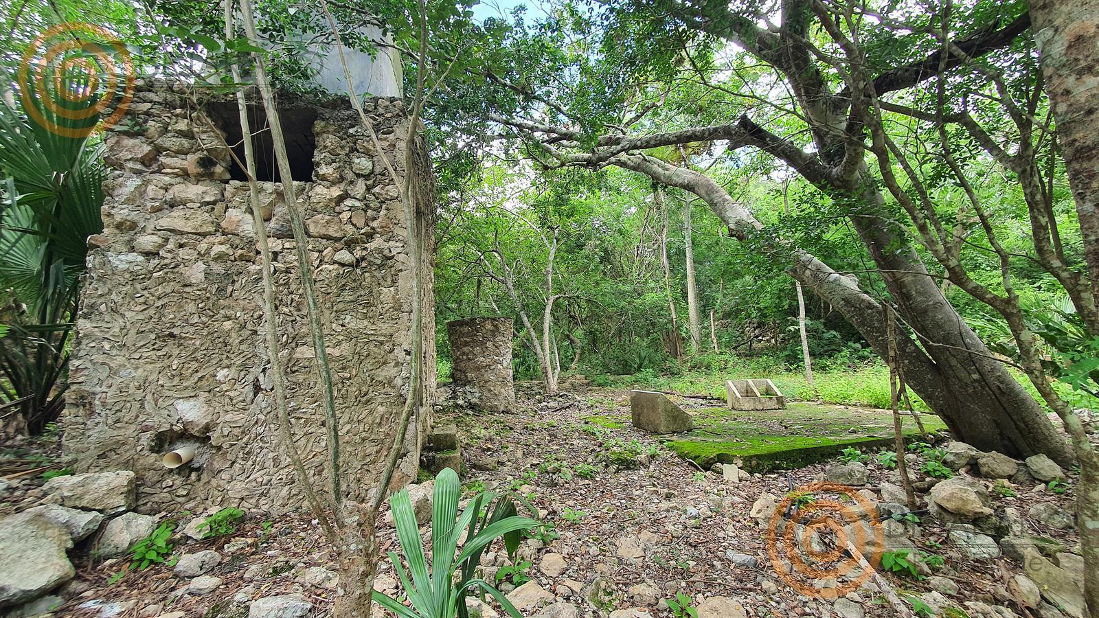 bre-tix-001-10 Construcción de piedra de la hacienda entre la vegetación