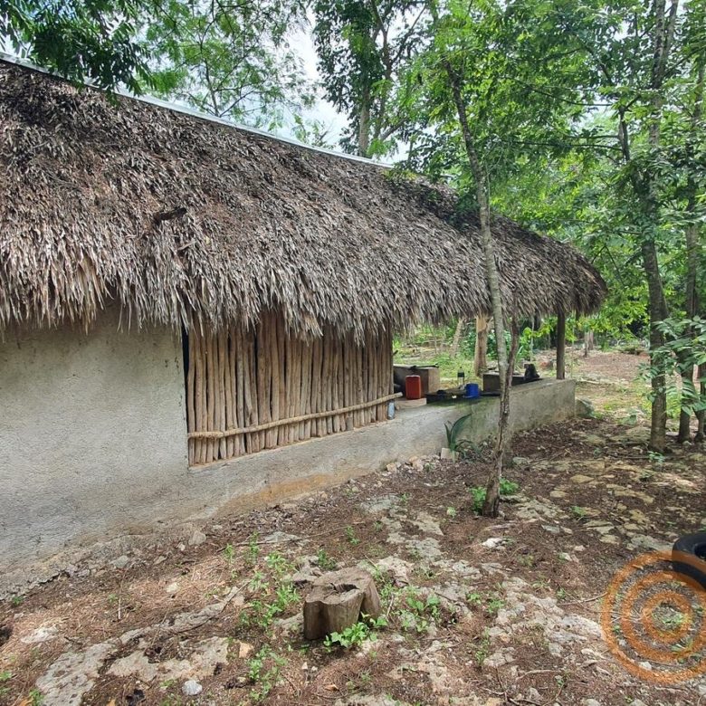 Casa de palma y muros de block en el rancho