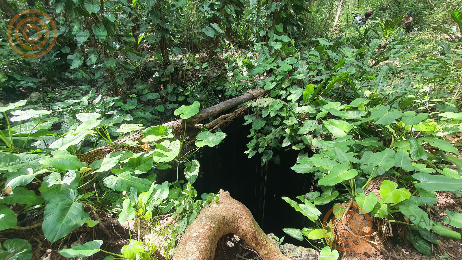 bre-tix-001-15 Vegetación sobre la entrada de un cenote