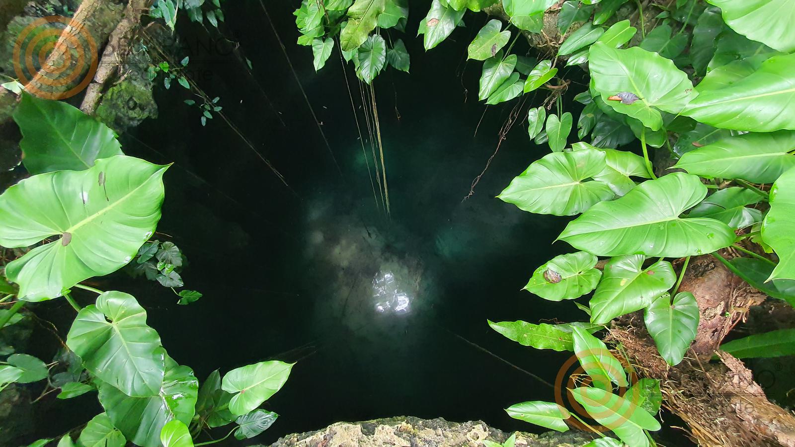 bre-tix-001-16 Cenote visto desde arriba entre hojas verdes