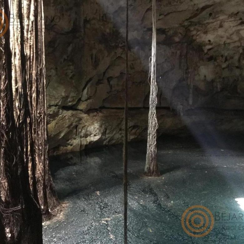 Cenote con rayos de luz y raíces colgantes