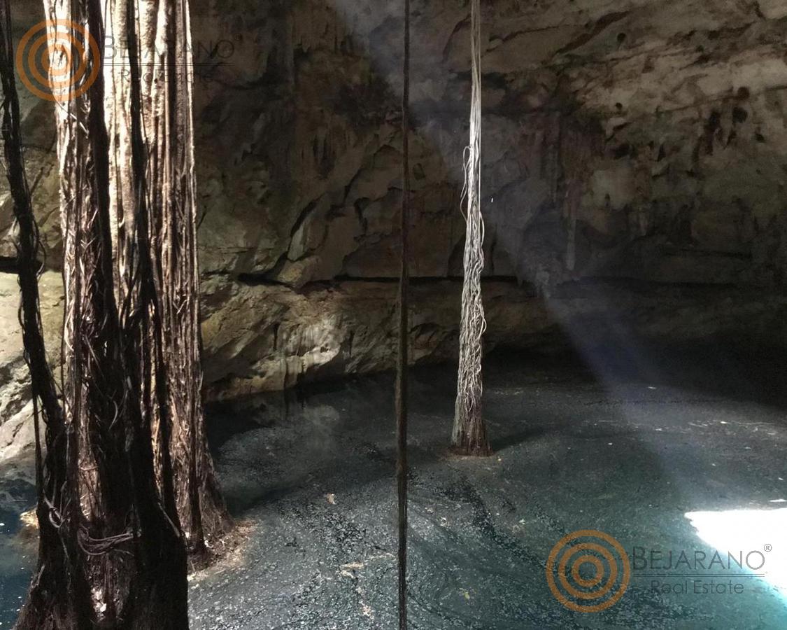 bre-tix-001-19 Cenote con rayos de luz y raíces colgantes