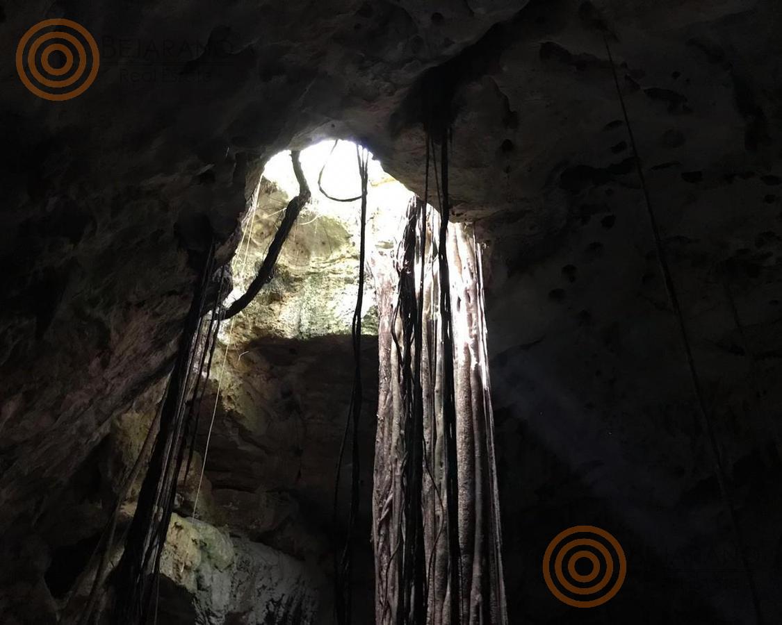 bre-tix-001-22 Bóveda del cenote con raíces que llegan al agua