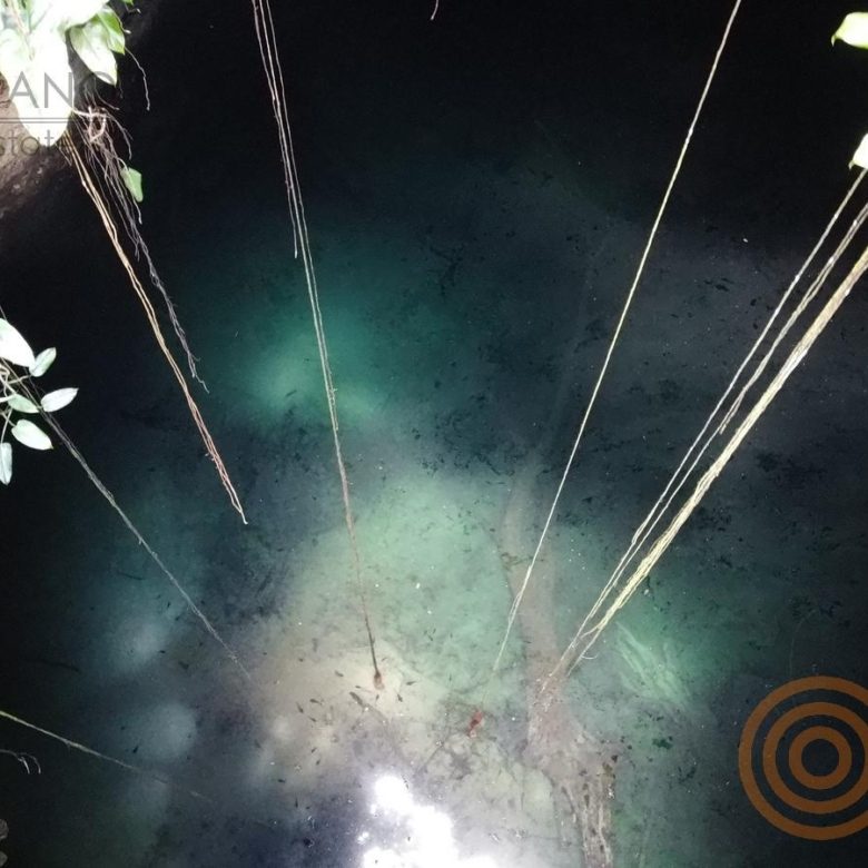 Cenote visto desde el borde con raíces