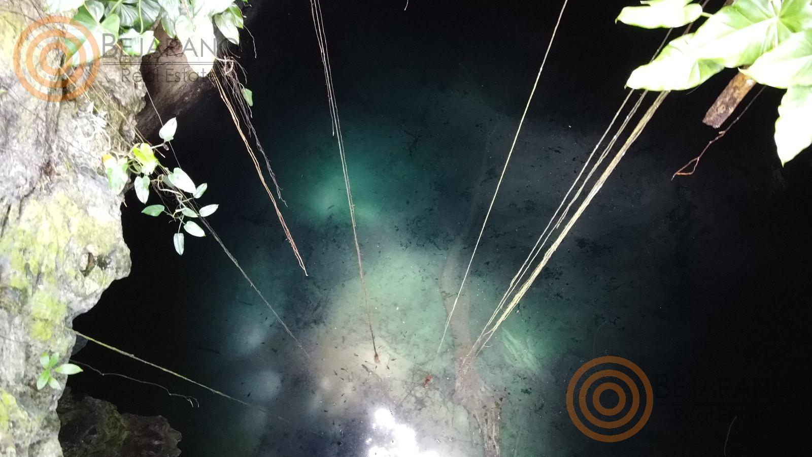 bre-tix-001-24 Cenote visto desde el borde con raíces