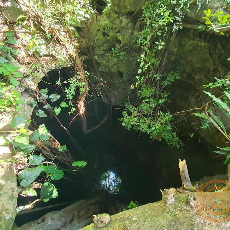 Segundo cenote entre la vegetación