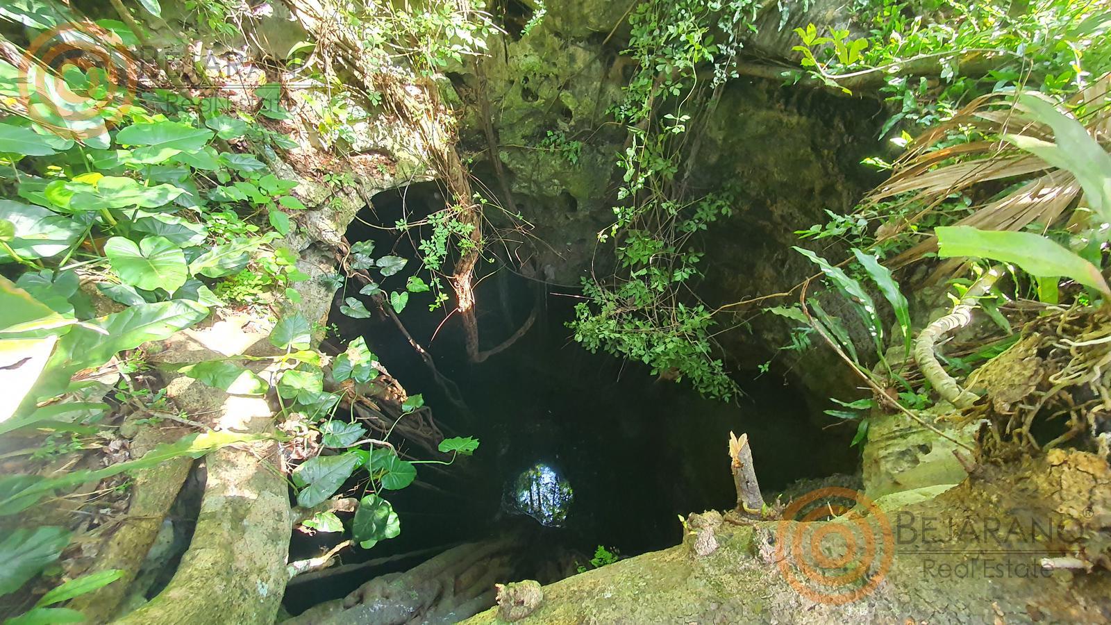 bre-tix-001-27 Segundo cenote entre la vegetación