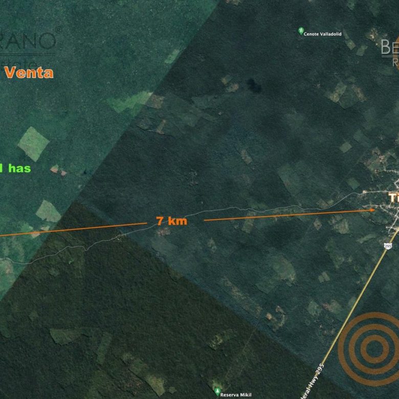 Plano satelital con las 131 ha del rancho y su ubicación