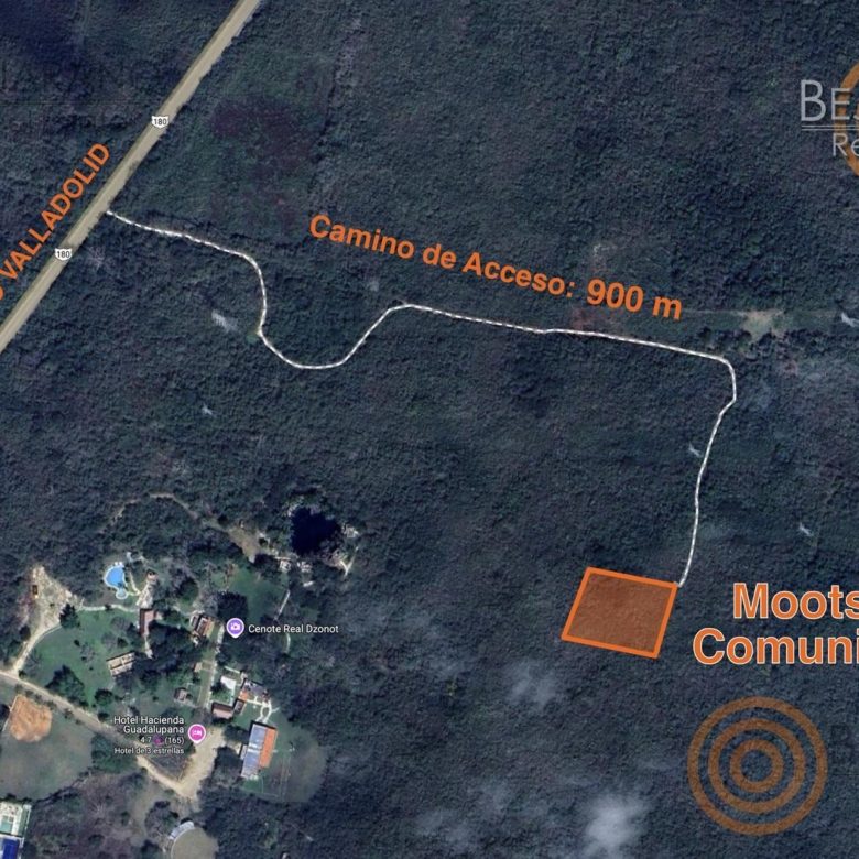 Prototipo de casa en contenedores entre la selva en Moots Community