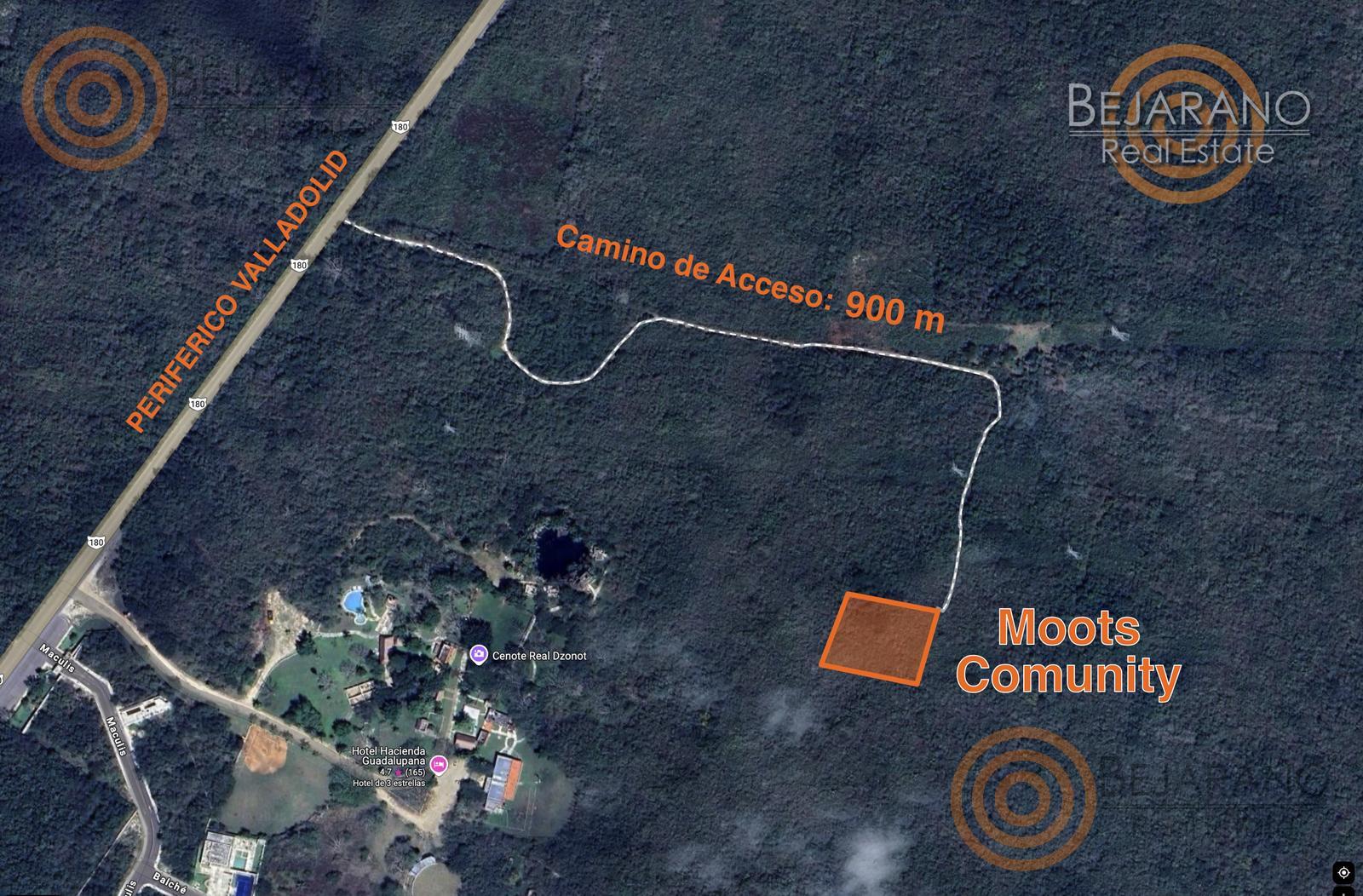 bre-tv-ecoproyect-01 Prototipo de casa en contenedores entre la selva en Moots Community