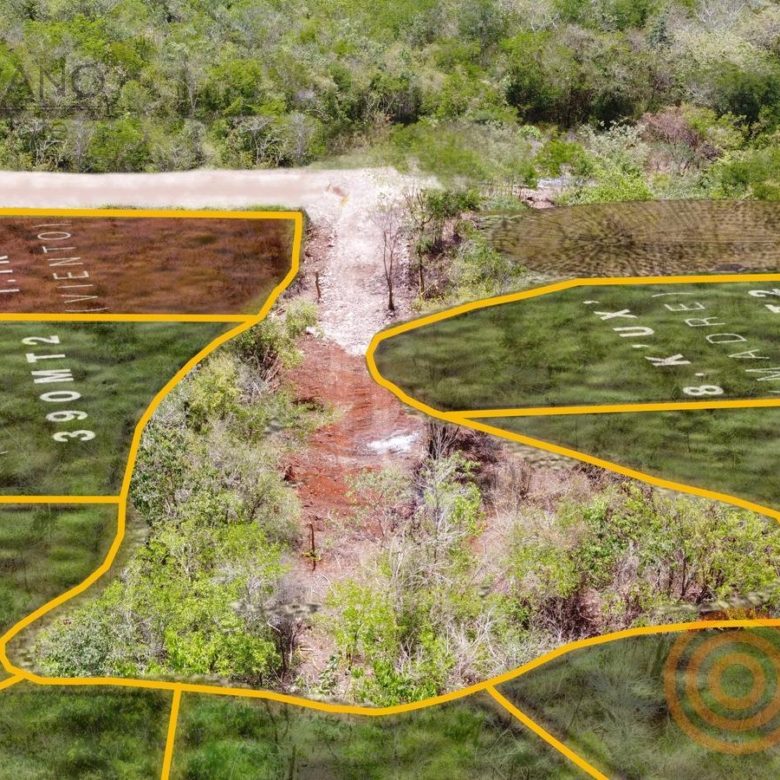 Vista aérea con las medidas de cada lote entre la selva