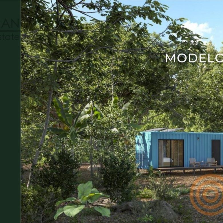 Modelo Texas: casa de contenedor azul entre la vegetación