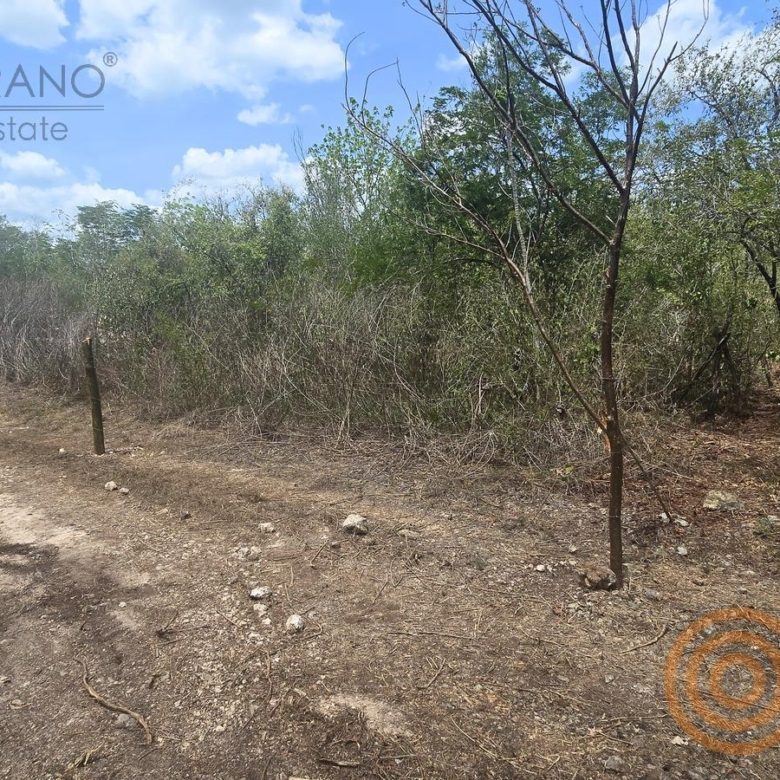 Lote de Moots Community con cerco de estacas y vegetación nativa