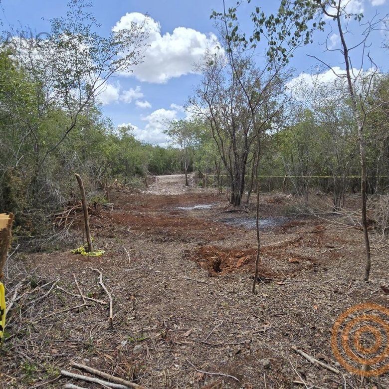 Terreno despejado con estacas marcadas en Moots Community