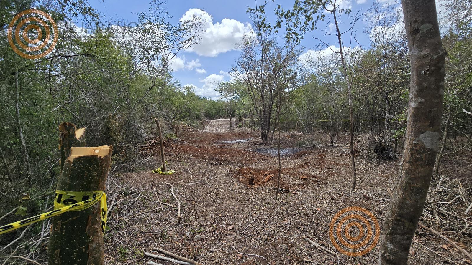 bre-tv-ecoproyect-17 Terreno despejado con estacas marcadas en Moots Community