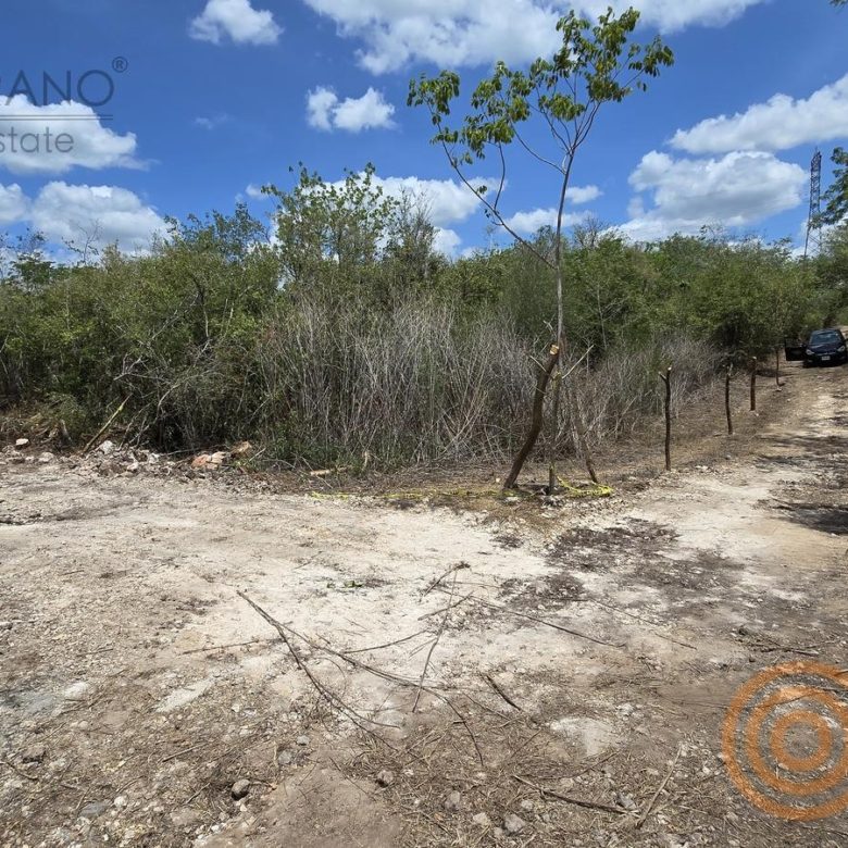 Terreno plano y despejado listo para construir en Moots Community