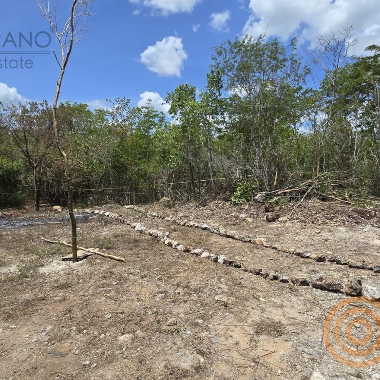Terreno con área delimitada y selva alrededor