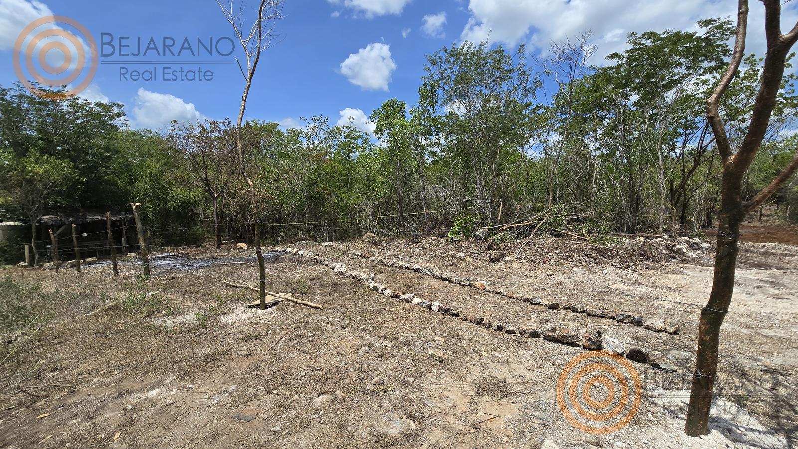 bre-tv-ecoproyect-21 Terreno con área delimitada y selva alrededor