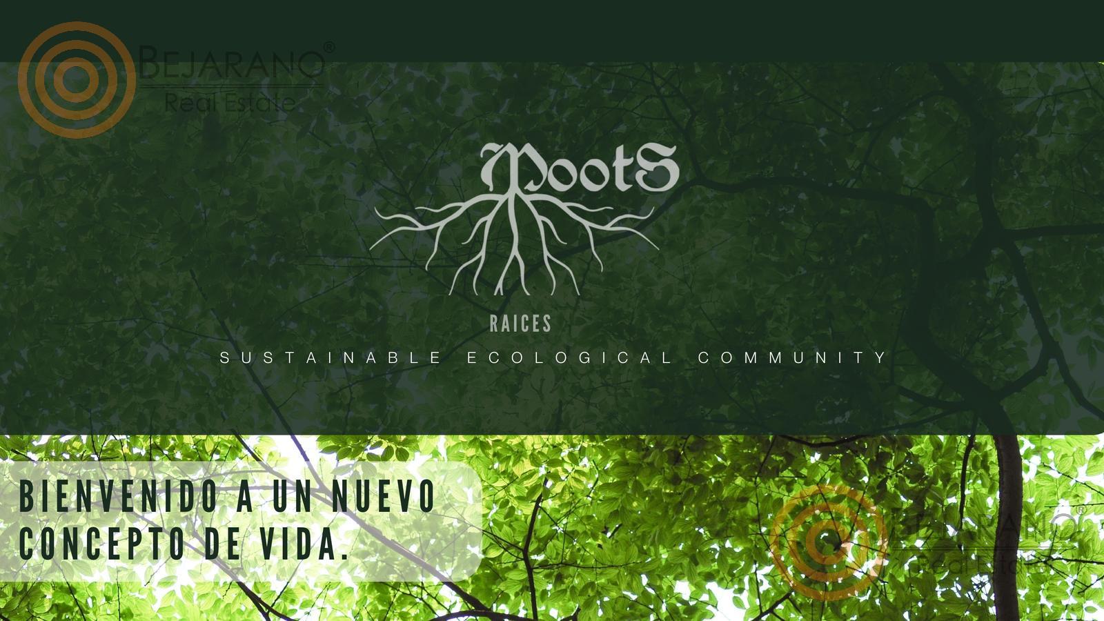 bre-tv-ecoproyect-22 Portada de Moots Raíces, comunidad ecológica sustentable