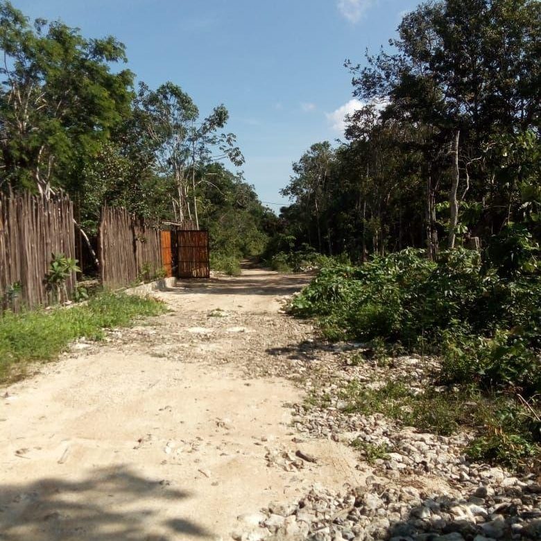 Camino de terracería junto a barda de madera frente al terreno