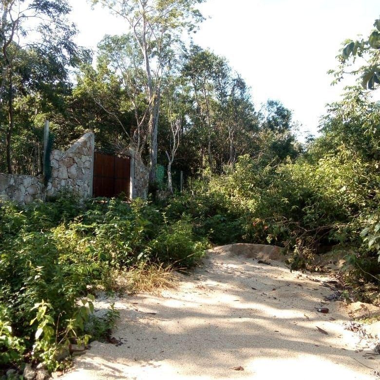 Entrada de terracería con muro de piedra y portón