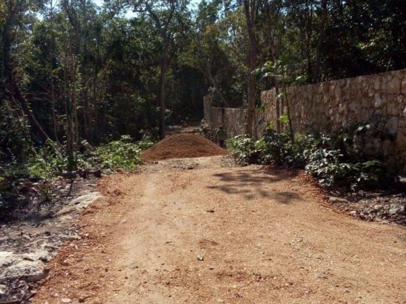 Camino de acceso despejado junto a la barda del terreno