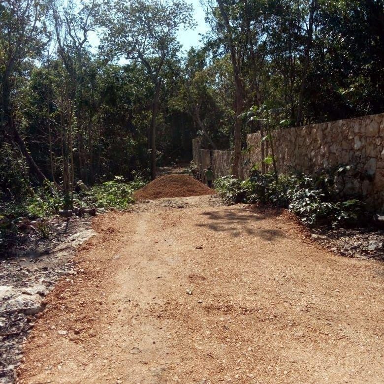 Camino de acceso despejado junto a la barda del terreno