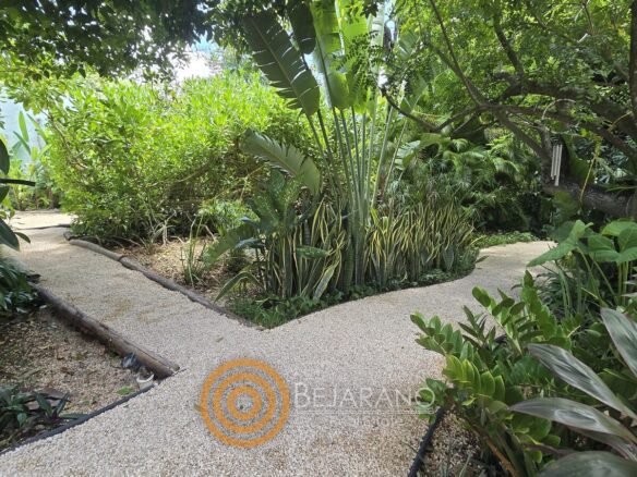 Senderos de grava entre plantas tropicales del jardín