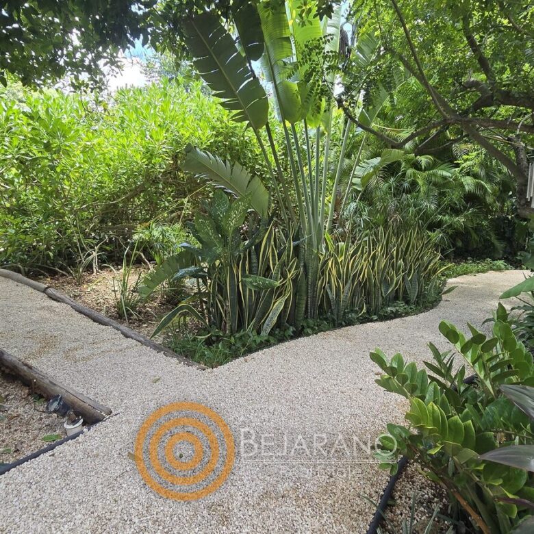 Senderos de grava entre plantas tropicales del jardín