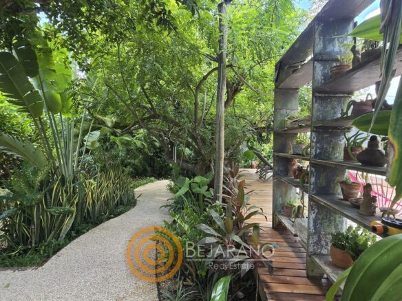 Andador del jardín junto a un librero exterior con macetas