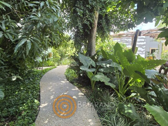 Sendero sombreado entre árboles y plantas hacia la casa