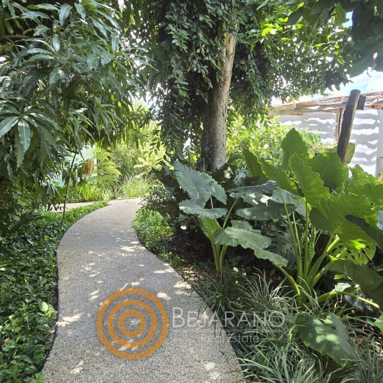 Sendero sombreado entre árboles y plantas hacia la casa
