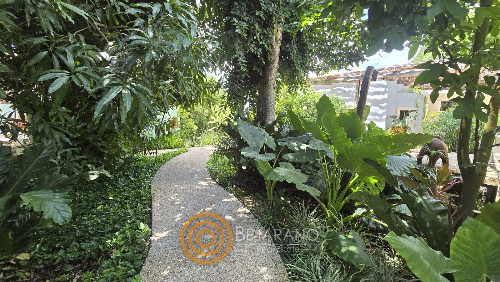 bre-cv-petanka-28 Sendero sombreado entre árboles y plantas hacia la casa