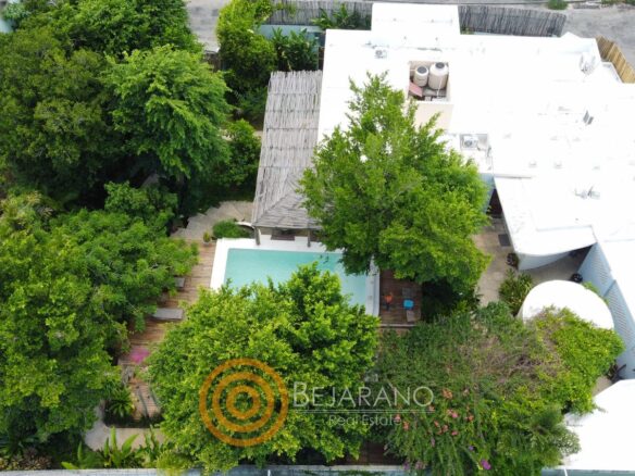 Toma de dron del jardín arbolado, la alberca y las azoteas